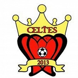 Celtes logo design